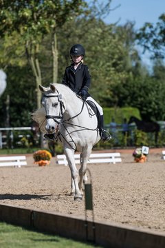 Bild 5 - Fuchshof Turnier
